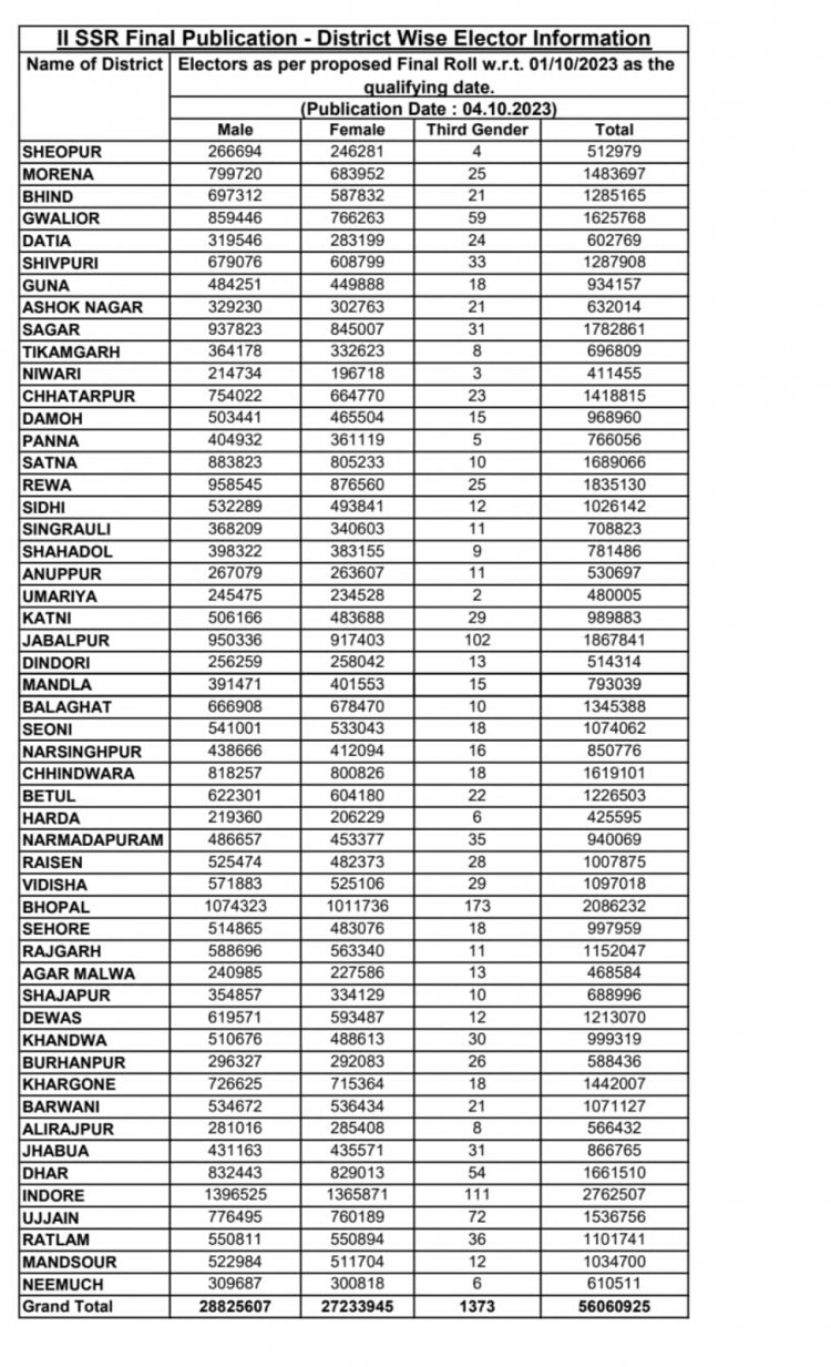 MP Elections 2023: रीवा वोटरों के मामले में सिर्फ तीन महानगरों से पीछे, जानिए किस शहर में कितने हैं voter