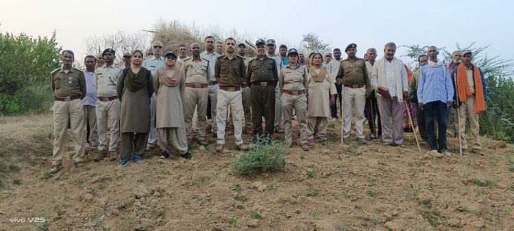 वन विभाग जिस जमीन पर किया था पौधरोपण, उसे खोद कर खेत बना डाले, कार्रवाई कर हटाया गया