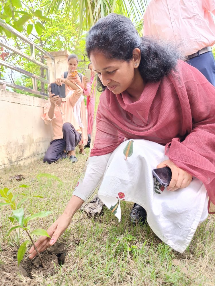 पौधरोपण महाअभियान शुरू: रीवा जिला में रोपे जाएंगे 7 लाख पौधे, इन पहाडिय़ों को हरा भरा करने का है लक्ष्य