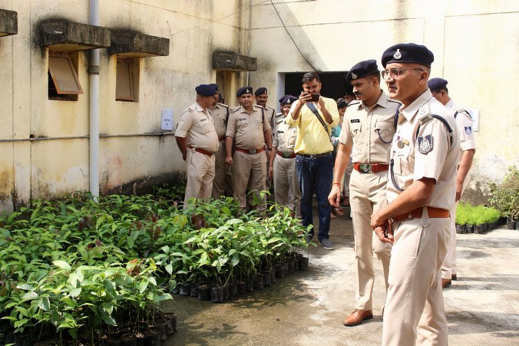 पीटीएस का नया नवाचार, ट्री बैंक का किया शुभारंभ, जाइए और फ्री में पौधे ले आइए